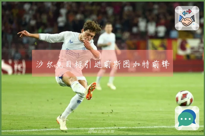 沙尔克目标引进前斯图加特前锋